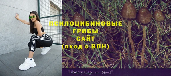 бутират Бородино