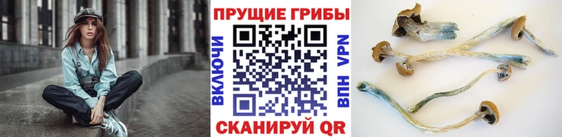 Псилоцибиновые грибы мухоморы  Крым 